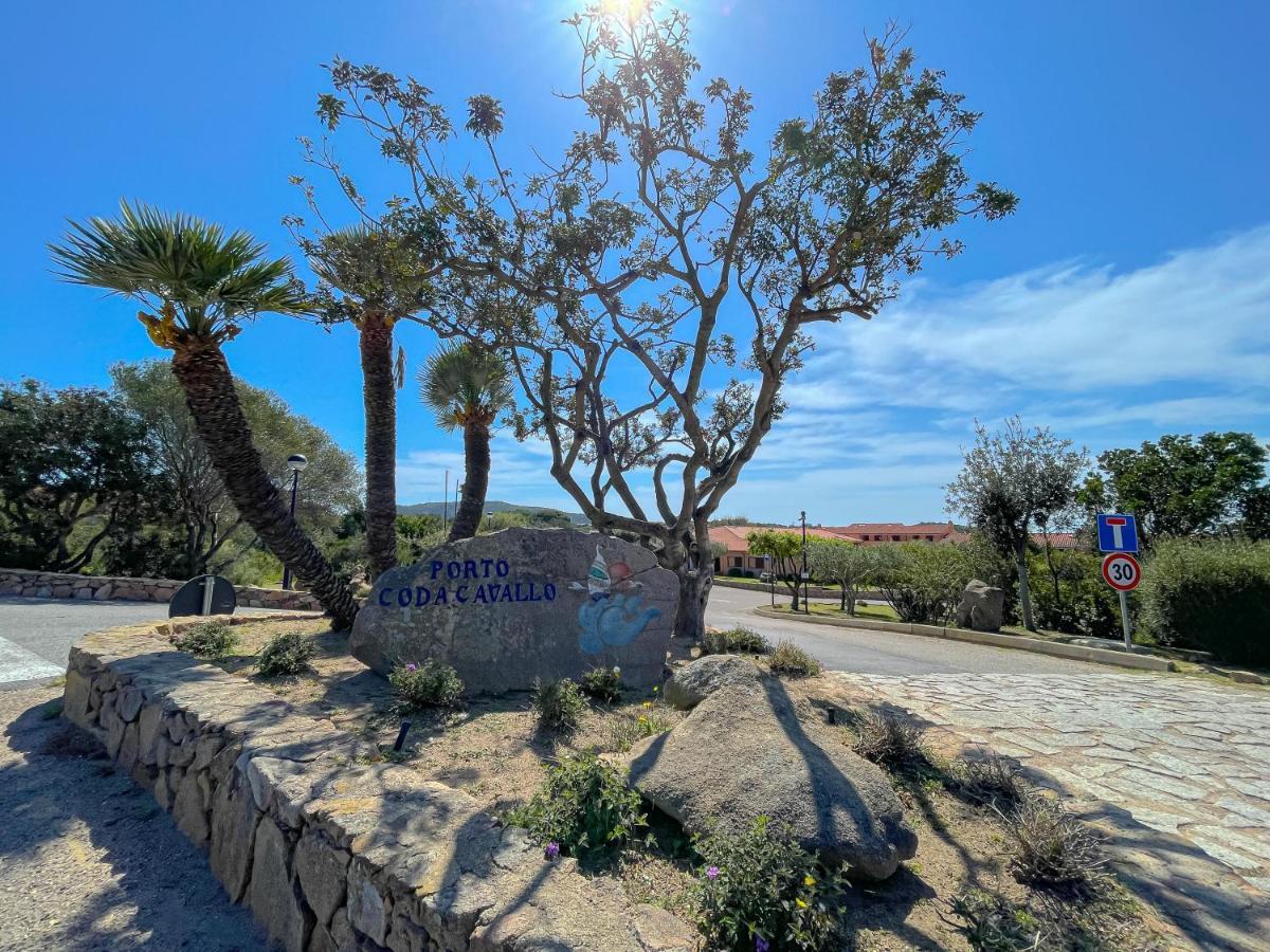 Apartment Porto Coda Cavallo House A 300 Mt Dal Mare, Con Terrazza Panoramica